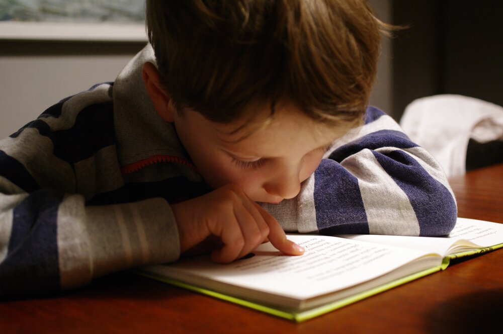 Effecten van ouder-kindprogramma's in de VVE op geletterheid