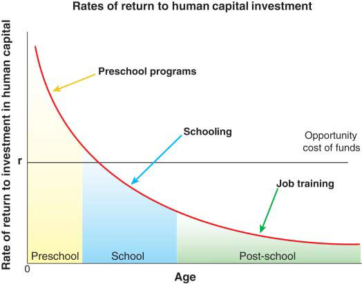 rates of return to human capital investment uit “Skill Formation and the Economics of Investing in Disadvantaged Children” door J. Heckman, 2006, Science 312, p. 1900–1902.